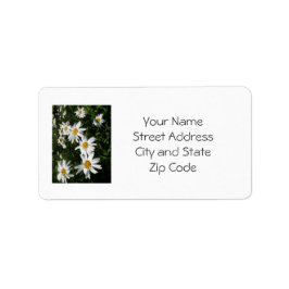 Etiqueta Rótulo de Endereço Daisy para Personalizar ou Cust