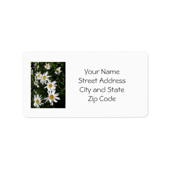 Etiqueta Rótulo de Endereço Daisy para Personalizar ou Cust (Frente)