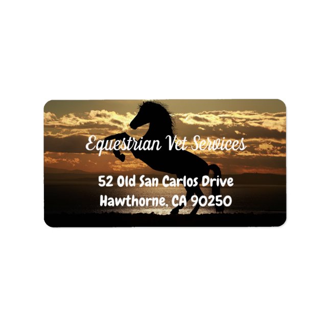 Etiqueta Rótulo de Endereço de Cavalo Bonito (Frente)