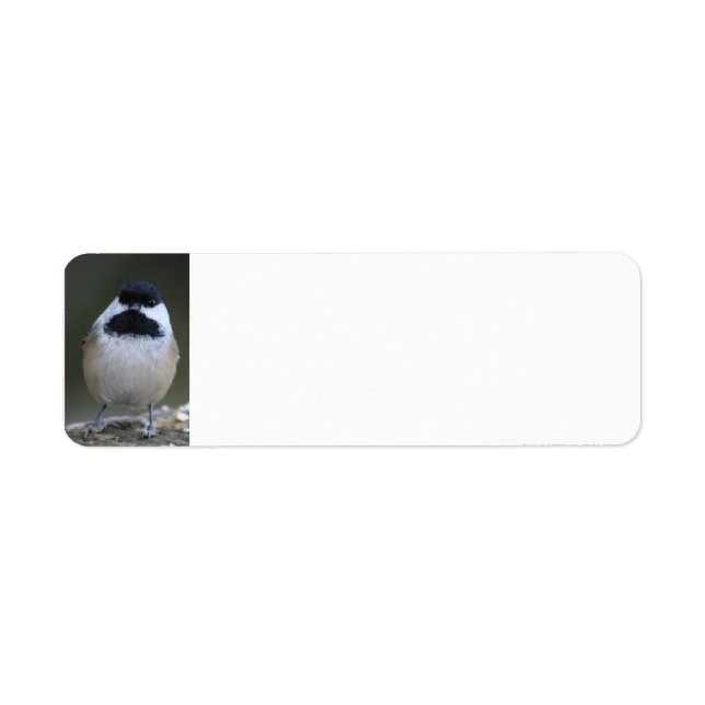 Etiqueta Rótulo de endereço de devolução de Chickadee (Frente)