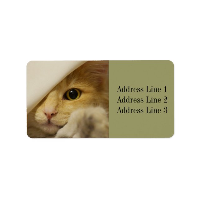 Etiqueta Rótulo de Endereço de Foto de Gatinho Fofo / Gato (Frente)