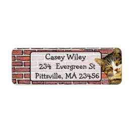 Etiqueta Rótulo de Endereço de Fundo da Parede de Gato