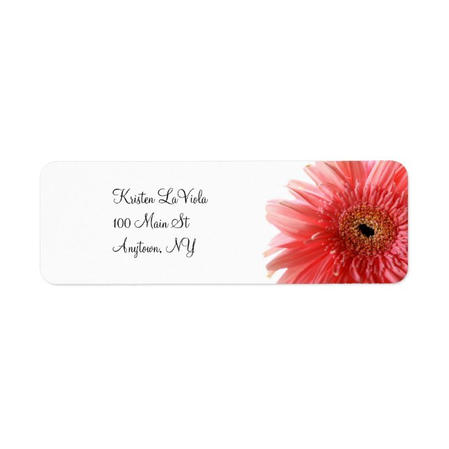 Etiqueta Rótulo de Endereço de Gerber Daisy Rosa (Frente)