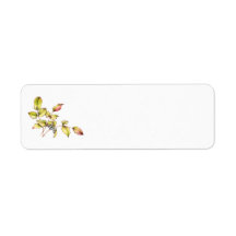 rótulo de endereço de retorno de berberis aquarela