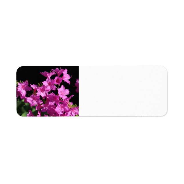 Etiqueta Rótulo de Endereço do Azalea (Frente)