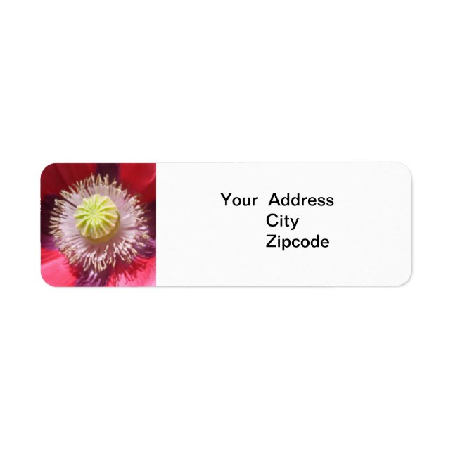 Etiqueta Rótulo de Endereço do Skulcap Rosa do Texas (Frente)