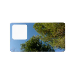 Etiqueta Rótulo de endereço estilo e design 