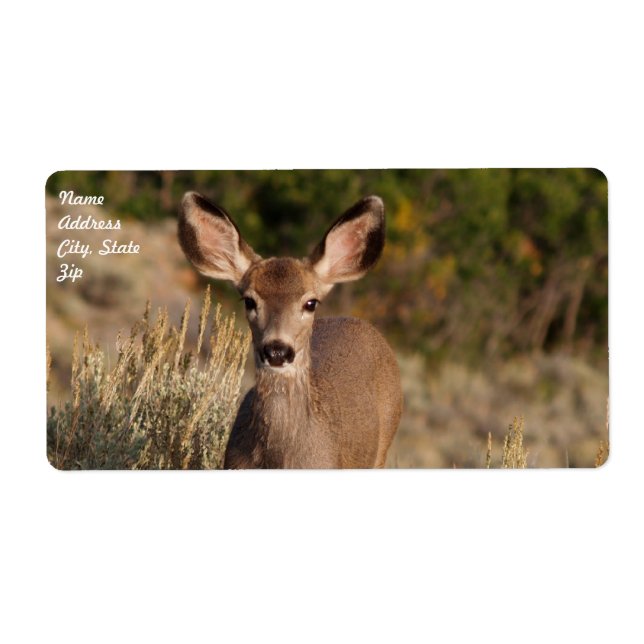 Etiqueta Rótulo de Entrega do Vendedor (Frente)