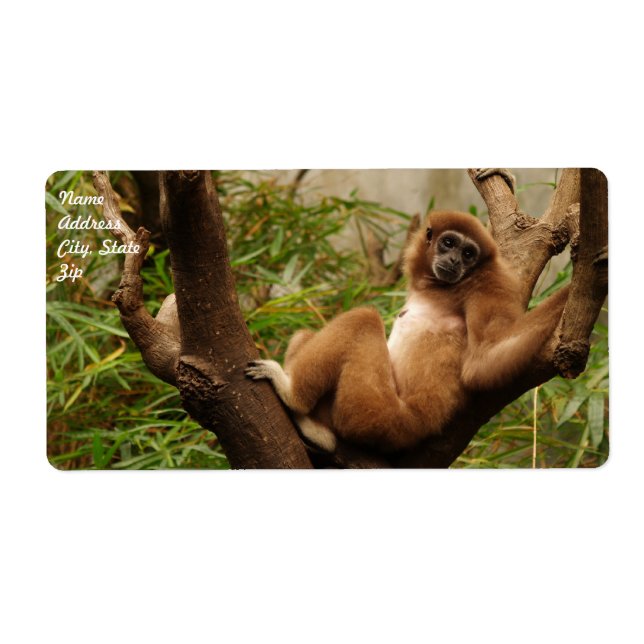 Etiqueta Rótulo de Entrega Macaco (Frente)