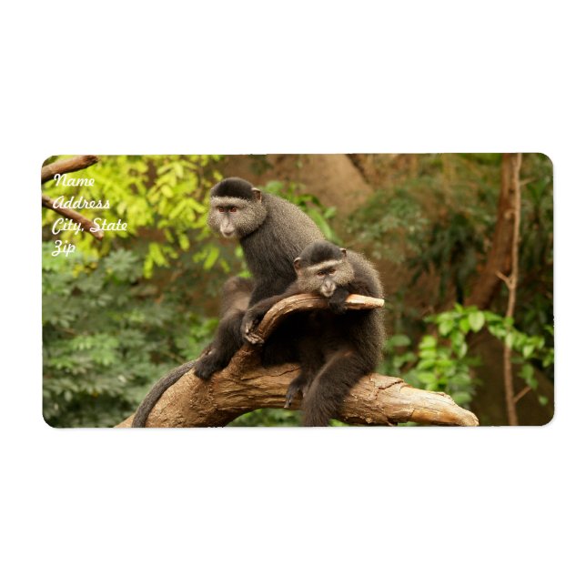 Etiqueta Rótulo de Entrega Macaco (Frente)