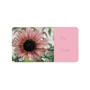 Etiqueta Rótulo de Selo Apresentado de Girassol Cor-de-Rosa