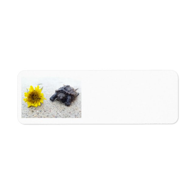 Etiqueta Rótulo de tartaruga e dandelion (Frente)