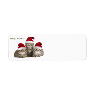 Etiqueta Rótulo Feliz Natal Kittens
