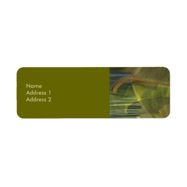 Etiqueta Rótulo Natureza No Balanço (Frente)