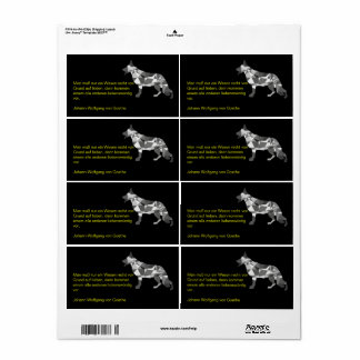 Etiqueta Rótulos de Cães