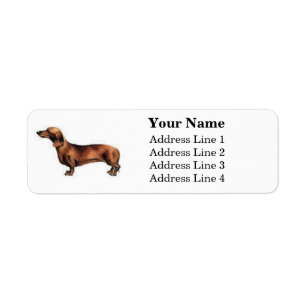 Etiqueta Rótulos de Endereço Dachshund