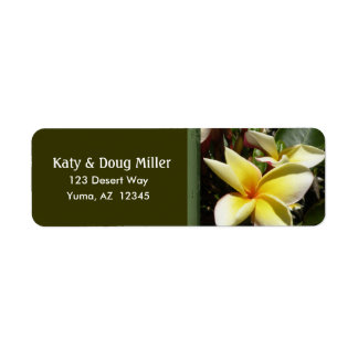 Etiqueta Rótulos de endereço de Creme e de plumeria amarela