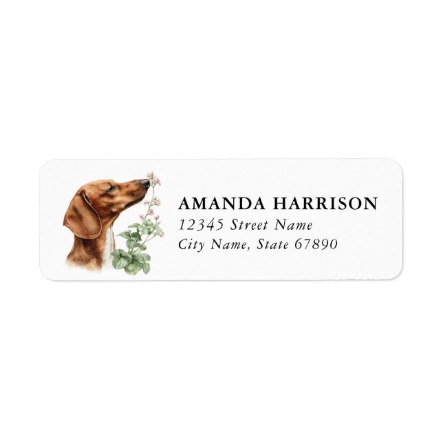 Etiqueta Rótulos de Endereço de Devolução Dachshund (Frente)