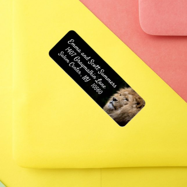 Etiqueta Rótulos de endereço para animais do African Lion (Criador carregado)
