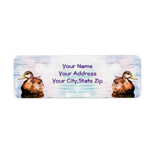 Etiqueta Rótulos de Endereços de Bela Pato