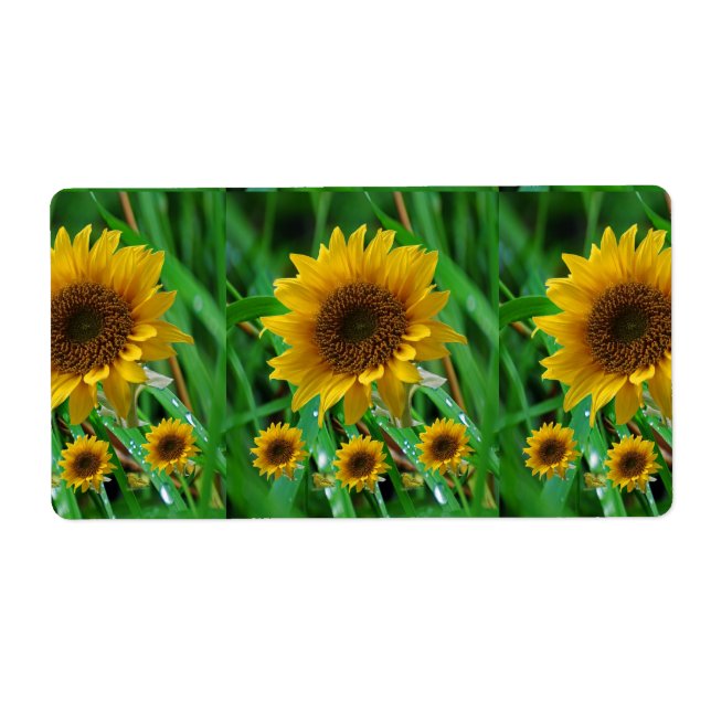 Etiqueta Rótulos Florais Girassol (Frente)