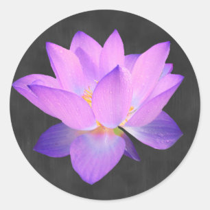 Etiqueta roxa elegante de Lotus