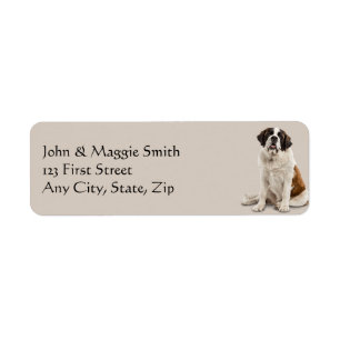 Etiqueta Rua Bernard Dog Pet Animal Label