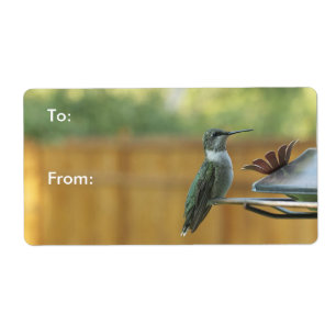 Etiqueta Ruby Throated Hummingbird