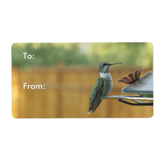 Etiqueta Ruby Throated Hummingbird (Frente)