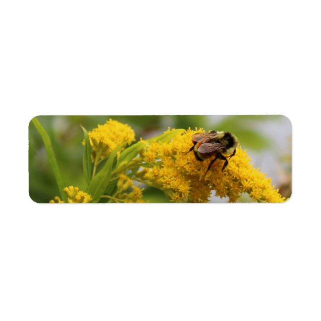 Etiqueta Salve as abelhas (Frente)