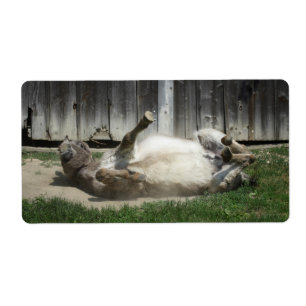 Etiqueta Sand Bathing Donkey