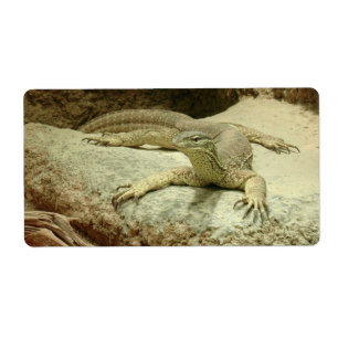 Etiqueta Sand Goanna