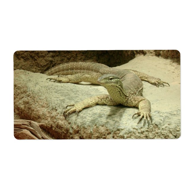 Etiqueta Sand Goanna (Frente)