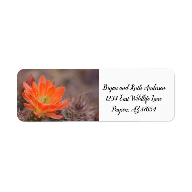 Etiqueta Sangue no cacto laranja floresce (Frente)