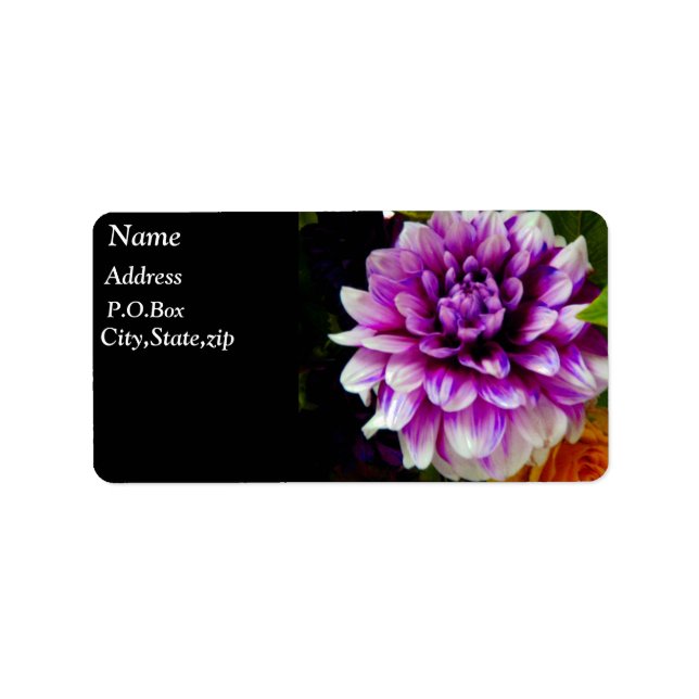 Etiqueta Saúde do Amor (Frente)