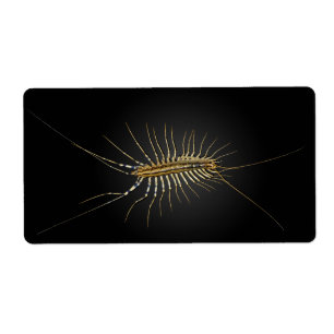 Etiqueta Scutigera Coleoptrata do centípede de casa