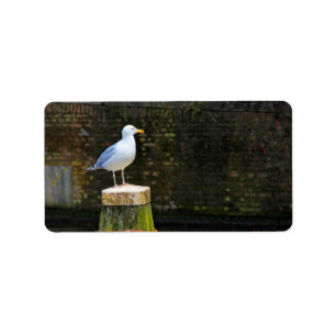 Etiqueta Seagull