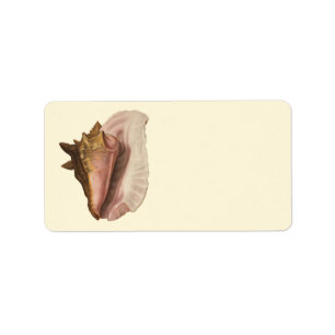 Etiqueta Seashell Shell do Conch da rainha do vintage,