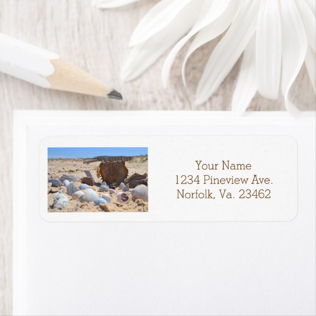 Etiqueta Seashells on Beach por Shirley Taylor (Insitu)