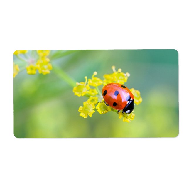 Etiqueta senhora no topo (Frente)