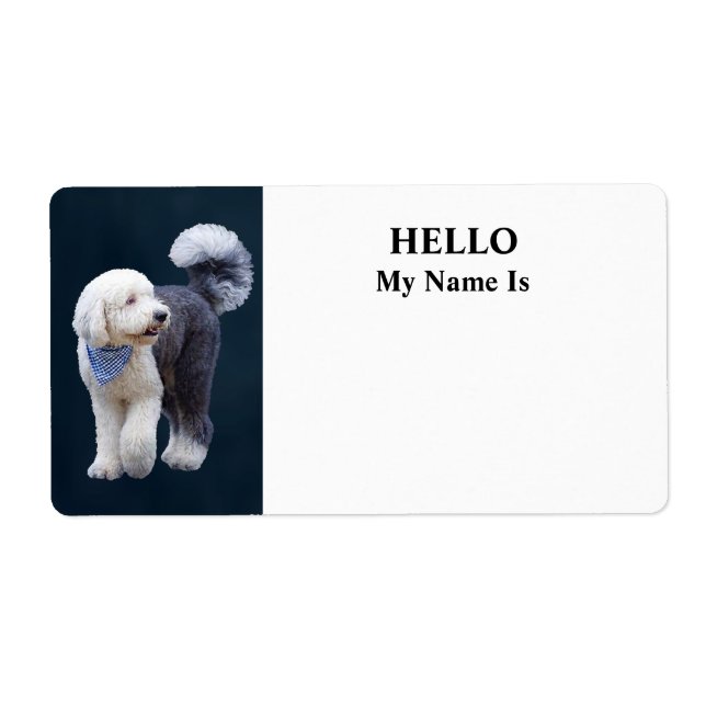 Etiqueta Sheepadoodle Com Cachecol Xadrez Azul (Frente)