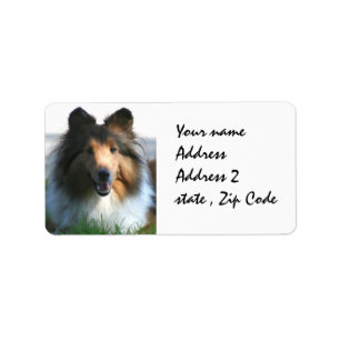 Etiqueta Sheepdog de Shetland