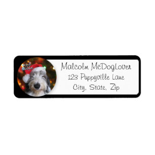 Etiqueta Sheepdog inglês velho do papai noel