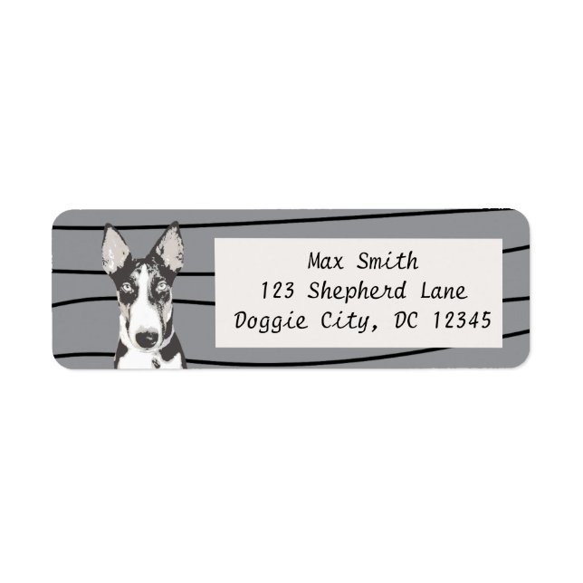 Etiqueta Shepherd Border Collie (Frente)
