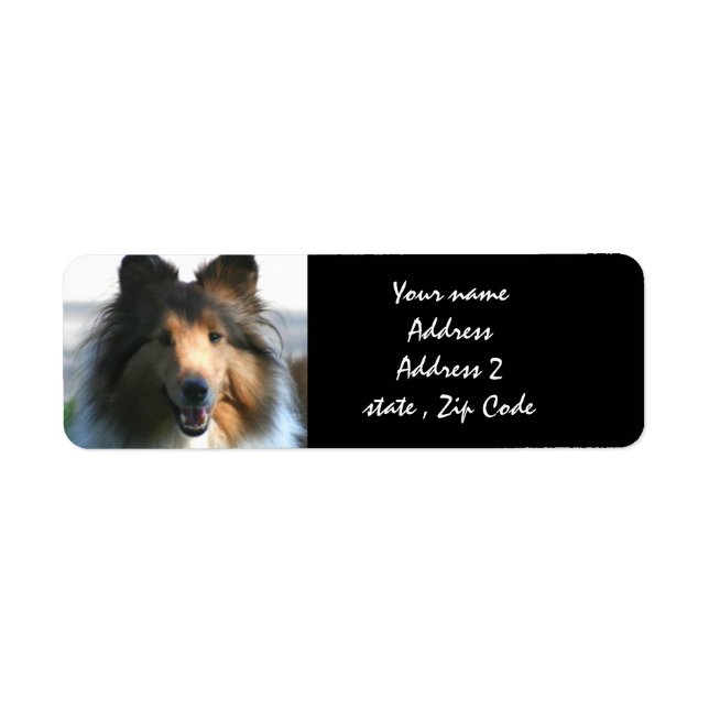 Etiqueta Shetland Sheepdog (Frente)