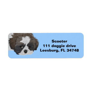 Etiqueta Shih Tzu