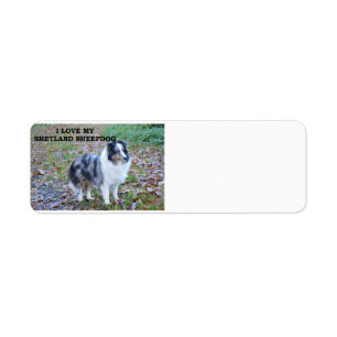 Etiqueta shzona-sheepdog-azul-azul-de-mala branco-bronzeado