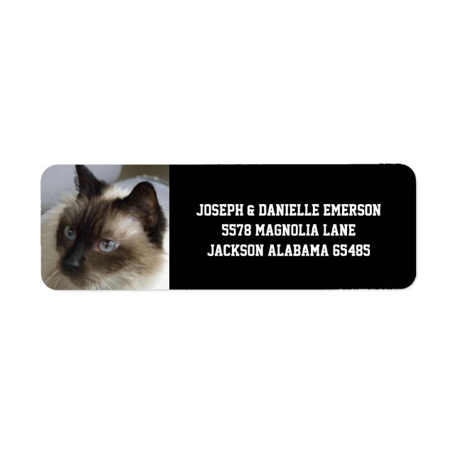 Etiqueta Siamese Kitty Address Labels (Frente)