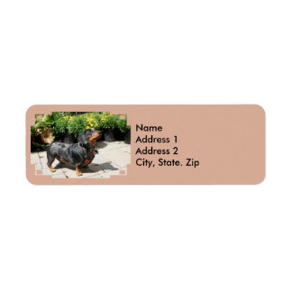 Etiqueta Silver Dmelshund Buddy 2