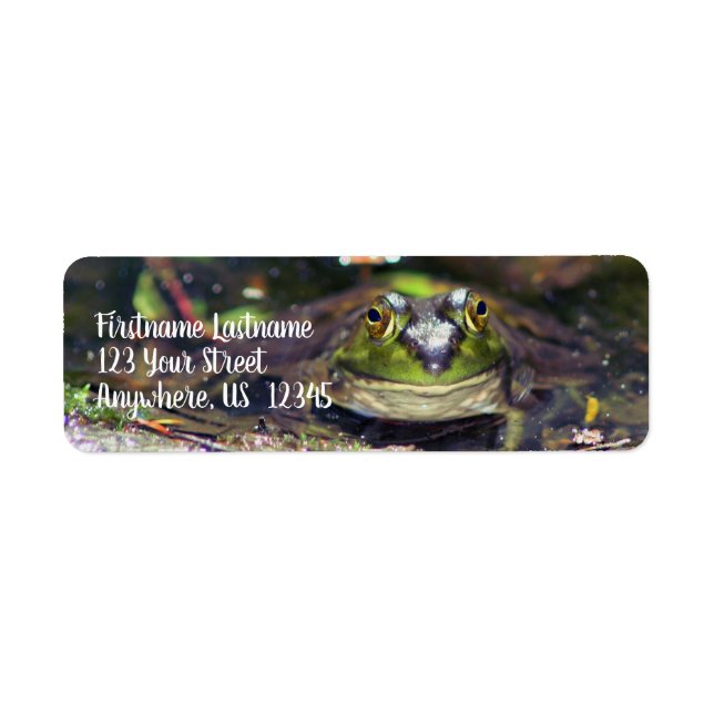 Etiqueta Smiling Bullfrog Animal Address (Frente)